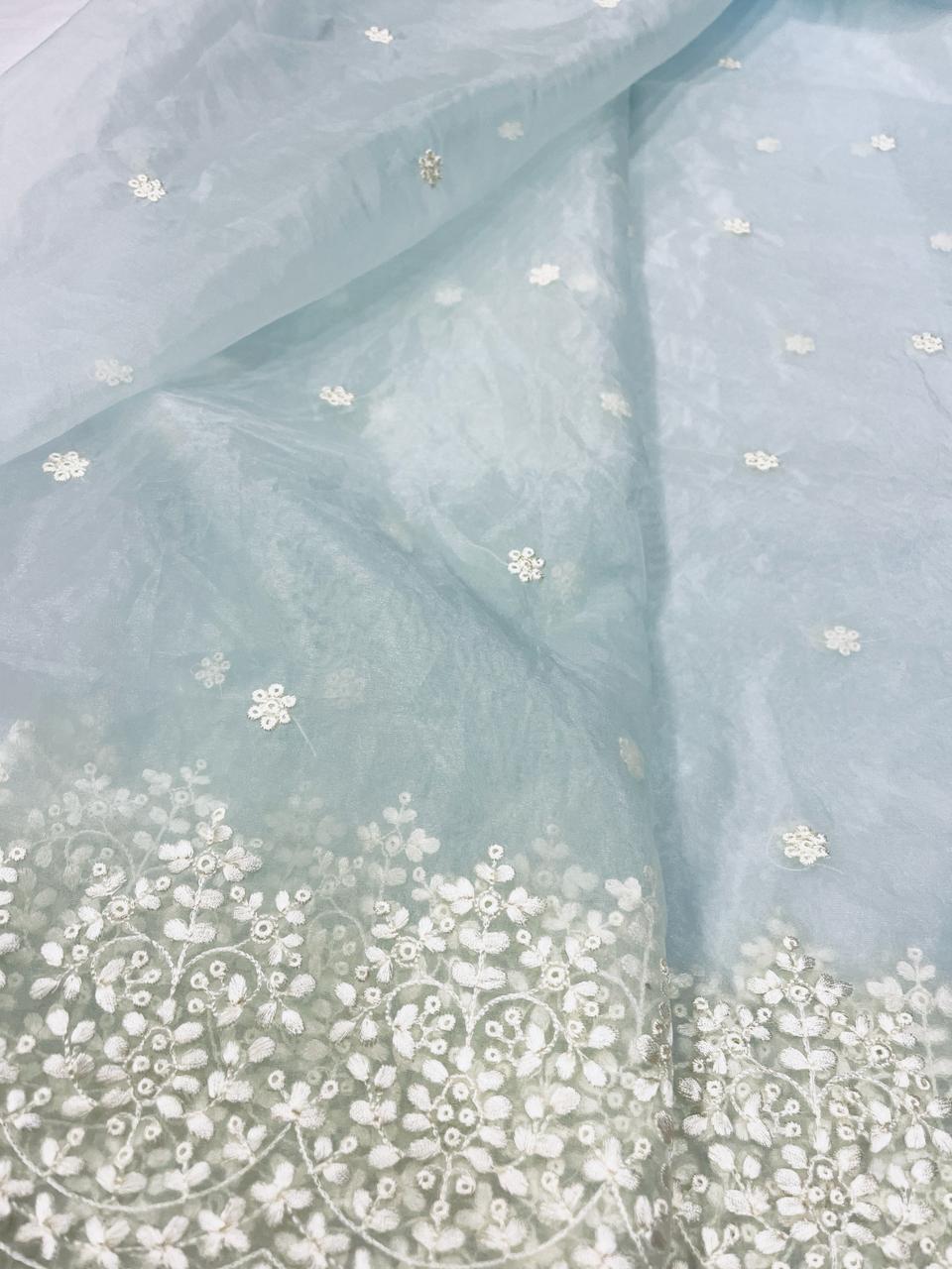 Maya Powder Blue Organza Saree | Swathi Nanda Sarees