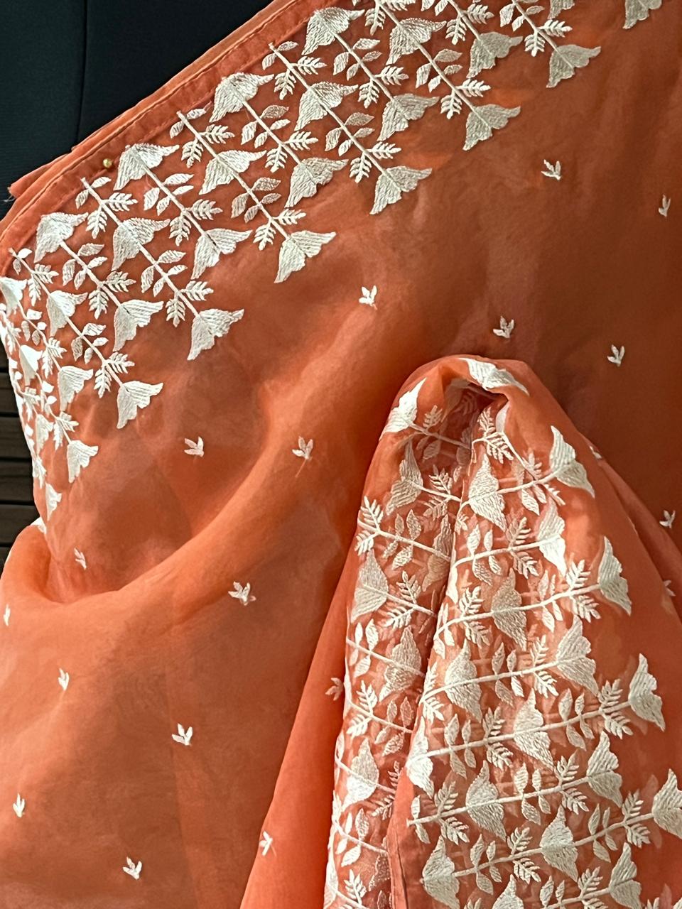 Orange Jamdani embroidered Organza Saree | Swathi Nanda Saree