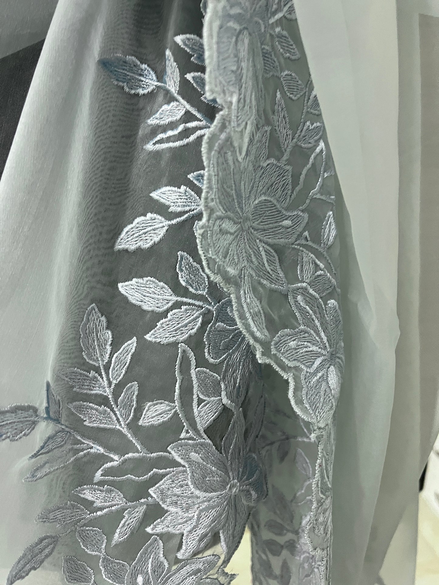 Powder Blue Organza Saree | Swathi Nanda Sarees