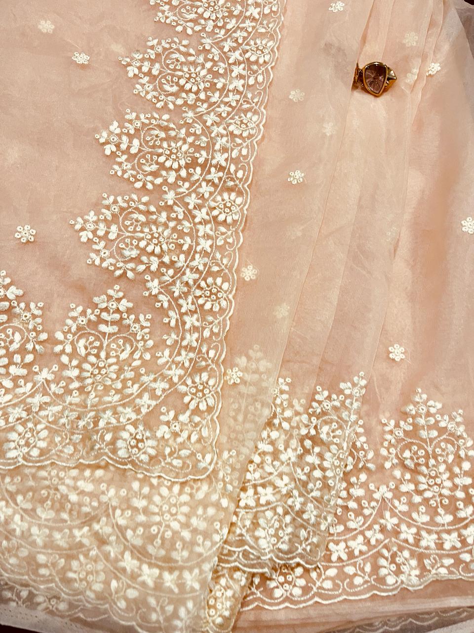 Maya Beige Organza Saree | Swathi Nanda Sarees