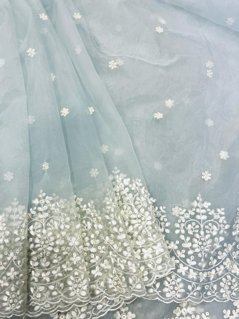 Maya Powder Blue Organza Saree | Swathi Nanda Sarees