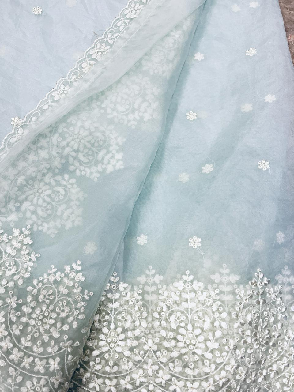 Maya Powder Blue Organza Saree | Swathi Nanda Sarees