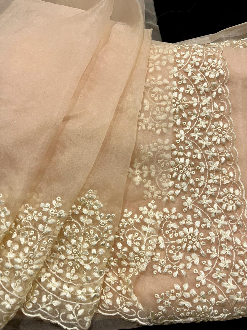 Maya Beige Organza Saree | Swathi Nanda Sarees