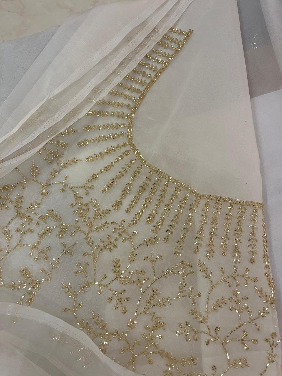 Cream Organza Saree | Swathi Nanda Sarees