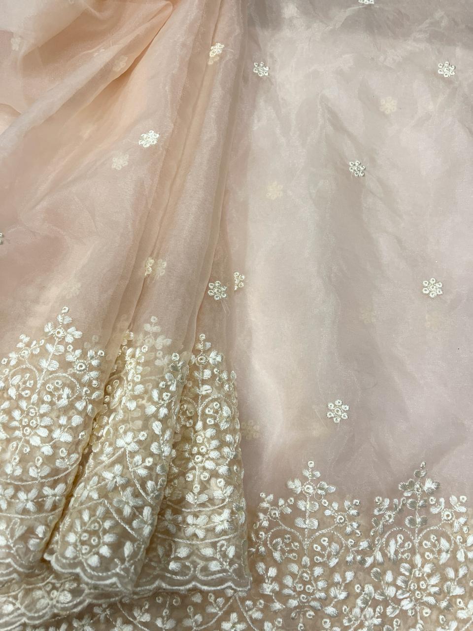 Maya Beige Organza Saree | Swathi Nanda Sarees