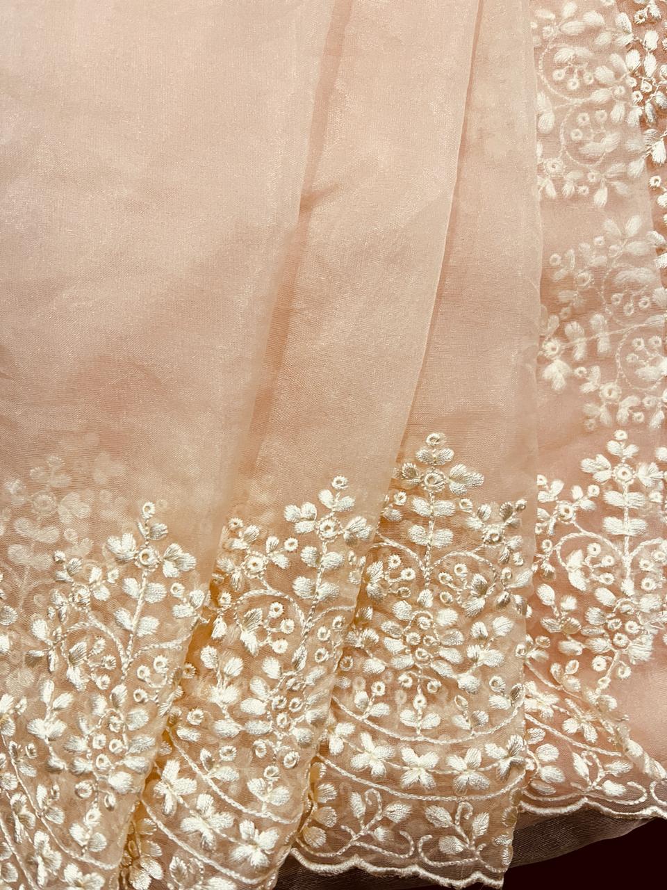 Maya Beige Organza Saree | Swathi Nanda Sarees