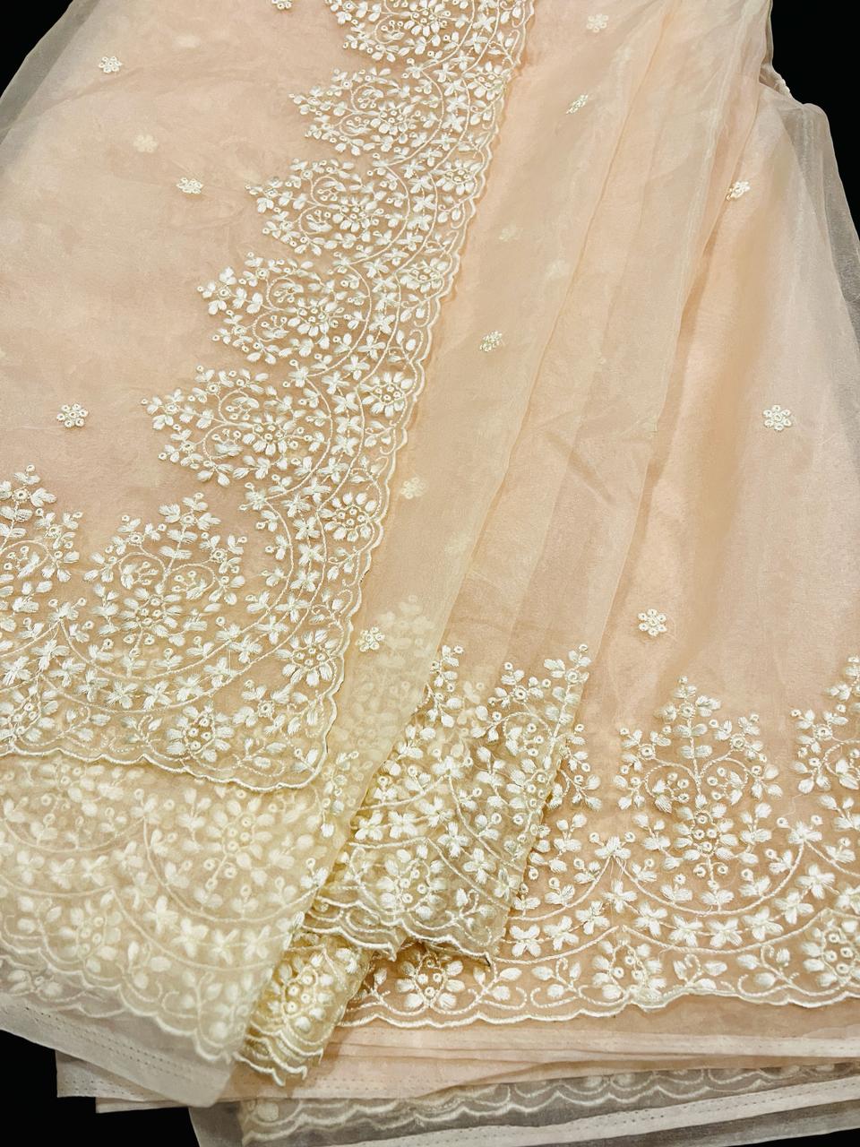 Maya Beige Organza Saree | Swathi Nanda Sarees